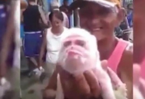 На Кубе в Новый год родился поросёнок с мордой обезьяны (видео)