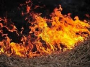 Գանձաքար գյուղում այրվել է անասնակեր