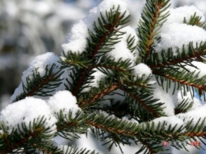 Օդի ջերմաստիճանը կբարձրանա 4-6 աստիճանով