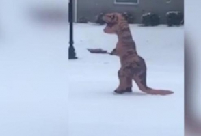 Տիրանոզավրն ԱՄՆ–ում դուրս է եկել փողոց՝ ձյունը մաքրելու