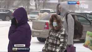 Прививка уже не спасет: свиной грипп захватил половину России (видео)