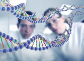 В Британии разрешили редактировать геном человеческих эмбрионов