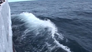 На найденном в Охотском море спасательном плоту людей не обнаружили (видео)