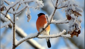 Առաջիկա 5 օրվա եղանակի կանխատեսում
