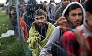 «The Times»–ի լրագրողն առաջարկել է փախստականներին պատերազմ ուղարկել (տեսանյութ)