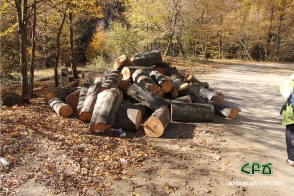 Անտառների հասարակական մոնիտորինգի արդյունքների մի մասն արձանագրել է նաև Բնապահպանության նախարարությունը