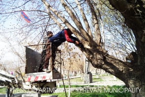 Ծառերի էտի և ձևավորման գարնանային աշխատանքները շարունակվում են