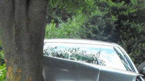 Ավտոմեքենան բախվել է ծառին