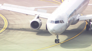 В США «Боинг» совершил вынужденную посадку после столкновения со стаей птиц (фото)