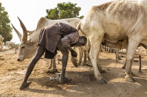 Հարավային Սուդանում բնակվող ցեղի ներկայացուցիչները կովի մեզով են լվացվում (ֆոտոշարք)