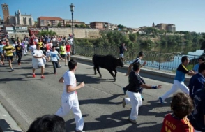 В Испании запретили убийство быков на празднике «Торо де ла Вега»