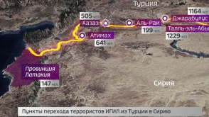 Пентагон случайно разоблачил связи Эрдогана с ИГ