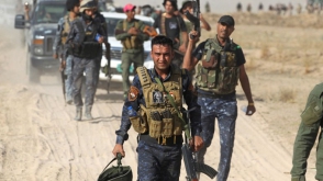 Россия надеется на более тесное сотрудничество с США по освобождению Ракки