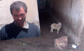 Գողացել էր 38 գառ, 13 ոչխար և 1 այծ (տեսանյութ)