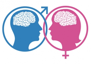 Կնոջ և տղամարդու ուղեղների 20 տարբերություն