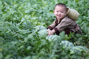 Собирающий арбузы малыш из Китая стал звездой соцсетей (фото)