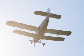 При крушении Ан-2 в России выжившие не обнаружены