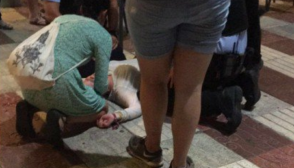 В Испании флешмоб приняли за атаку террористов (видео)