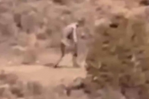 Պորտուգալիայի անապատում խորհրդավոր էակ է նկատվել (տեսանյութ)