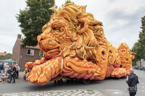 Ամեն տարի Նիդեռլանդներում անցկացվում է ծաղիկների զարմանահրաշ շքերթ (ֆոտոշարք)