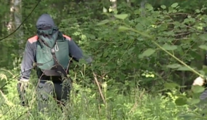 Դեռահասը ծեծել է անտառում 10–ամյա տղային բռնաբարած բարձրդասարանցիներին