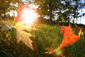 Օդի ջերմաստիճանը սեպտեմբերի 28-ի ցերեկը կնվազի 3-4 աստիճանով