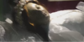 «Youtube»–ի հիթը. 300 տարի առաջ մահացած  սուրբ աղջիկը բացել է աչքերը (տեսանյութ)