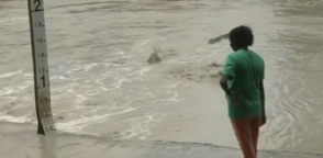 Ավստրալիայում կինը հողաթափով վախեցրել է կոկորդիլոսին