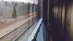 Մոսկվայում կինը պատռել է փորը գնացքի ուղևորների աչքի առաջ