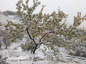 Օրվա կադր. աշնան և ձմռան հանդիպումը