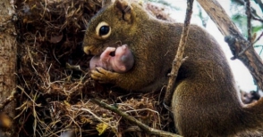 20 լուսանկար, որն արվել է ճիշտ պահին (ֆոտոշարք)