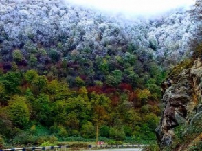 Օրվա կադր․ Այգեձոր