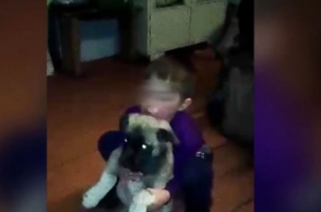 Բուրյաթիայում փոքրիկ տղան մի ամբողջ օր է անցկացրել անտառում՝ տնային թուլայի և գայլերի հետ (տեսանյութ)