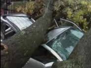 Հոգեբուժարանի տարածքում «ՎԱԶ 2107»-ն արգելափակվել է հաստաբուն ծառի տակ