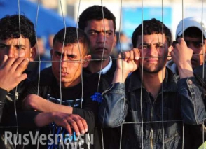 Ներգաղթյալները հրել գցել են գերմանուհուն աստիճաններից (տեսանյութ)