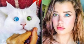 Այսպիսի աչքեր հանդիպում են միայն Երկիր մոլորակի բնակչության 1%–ի մոտ (ֆոտոշարք)