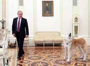 Путин пришел на интервью к японским журналистам с собакой Юмэ (фото, видео)