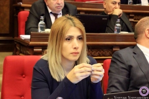 Элинар Варданян: «Борьба идет между оппозиционным и властным полюсами» (видео)