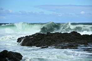 Տոկիոն բողոքի նոտա է հղել Մոսկվային Կուրիլյան կղզիներին անուններ տալու համար
