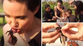 Անջելինա Ջոլին երեխաներին սովորեցնում է կարիճներ և տարանտուլներ պատրաստել և ուտել