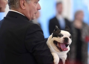 Ֆինլանդիայի նախագահի ժպտերես շնիկը գրավել է համացանցը (լուսանկարներ)