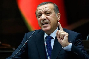 Эрдоган исключил освобождение немецкого журналиста Дениза Юджела
