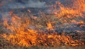 «Էրեբունի» օդանավակայանի մոտ այրվել է մոտ 700 քմ խոտածածկույթ