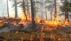 «Սևան ազգային պարկ»-ի Հայրավանք կոչվող տեղամասում այրվել է մոտ 0,5 հա բուսածածկ տարածք