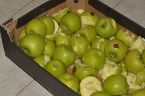 Հայաստանում ադրբեջանական խնձորի դիվերսիան տիրող անտերության հետևանք է