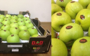 Բագրատաշենի մաքսակետում կաշառք են տվել․ նոր մանրամասներ ադրբեջանական խնձորների վաճառքից