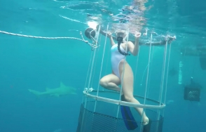 Видео с порноактрисой, которую укусила акула, оказалось фейком