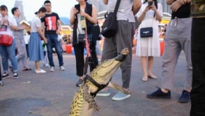 Китаец прогулялся по улице с крокодилом, а потом сделал из него шашлык (фото)