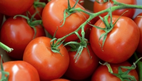 Турция отомстила за помидоры запретом российской пшеницы – СМИ
