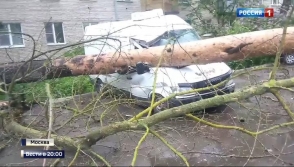 Ураган в Москве: 11 человек погибли, более 150 пострадали (видео)